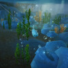 La p�che dans FreeRealms