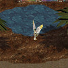 Capture de La Quatri�me Proph�tie