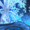 Capture de World of Warcraft: Wrath of the Lich King