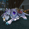 Capture de World of Warcraft: Wrath of the Lich King