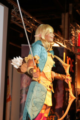 FJV 2008 : Concours Cosplay