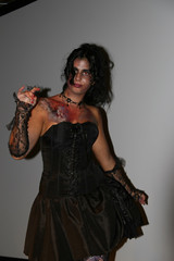 FJV 2008 : Concours Cosplay