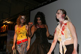 FJV 2008 : Concours Cosplay