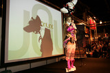 FJV 2008 : Concours Cosplay
