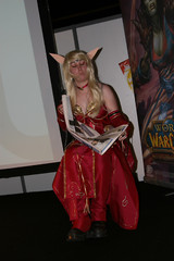 FJV 2008 : Concours Cosplay
