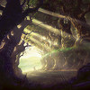 Illustration du Murmuring Bosk