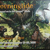 Capture de Magic the Gathering Online: Morningtide