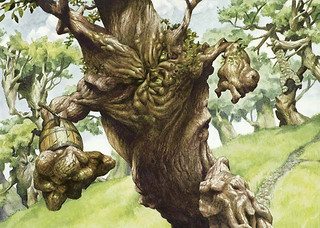 Illustration du Dauntless Dourbark Illustration du Dauntless Dourbark