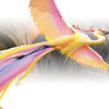Illustration des Birds of Paradise