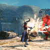Capture de Vindictus