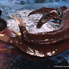 Capture de Vindictus