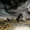 Capture de Magic the Gathering Online: Tempest
