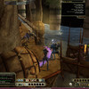Capture de Dungeons and Dragons Online Unlimited