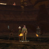 Capture de Dungeons and Dragons Online Unlimited