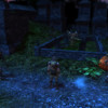 Capture de Dungeons and Dragons Online Unlimited