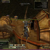 Capture de Dungeons and Dragons Online Unlimited