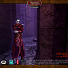 Capture de Dungeons and Dragons Online Unlimited