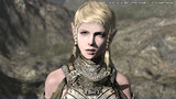 Kingdom Under Fire II