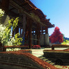Eastern gardens