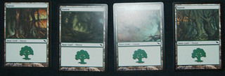Terrains Shadowmoor Terrains Shadowmoor