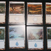 Capture de Magic the Gathering Online: Shadowmoor