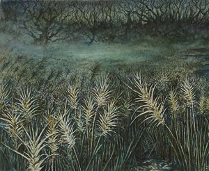 Illustration d'une Plaine Shadowmoor Illustration d'une Plaine Shadowmoor