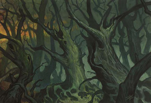 Illustration d'une Forêt Shadowmoor Illustration d'une Forêt Shadowmoor