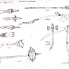 Croquis des armes des Kithkins