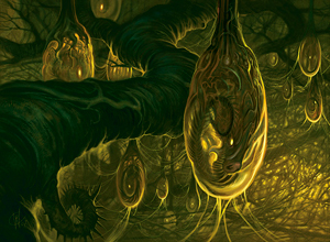 Illustration Eventide Illustration Eventide