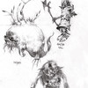 Croquis de cr�atures Eventide