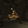 Usine d'Oursons en peluche