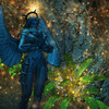 Capture de Champions Online