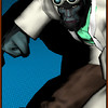 Capture de Champions Online