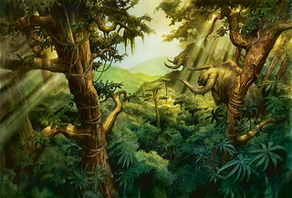 Plan de Naya Plan de Naya