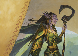 Illustration de la Cylian Elf Illustration de la Cylian Elf