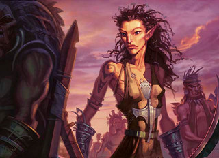 Illustration de la Bloodbraid Elf Illustration de la Bloodbraid Elf