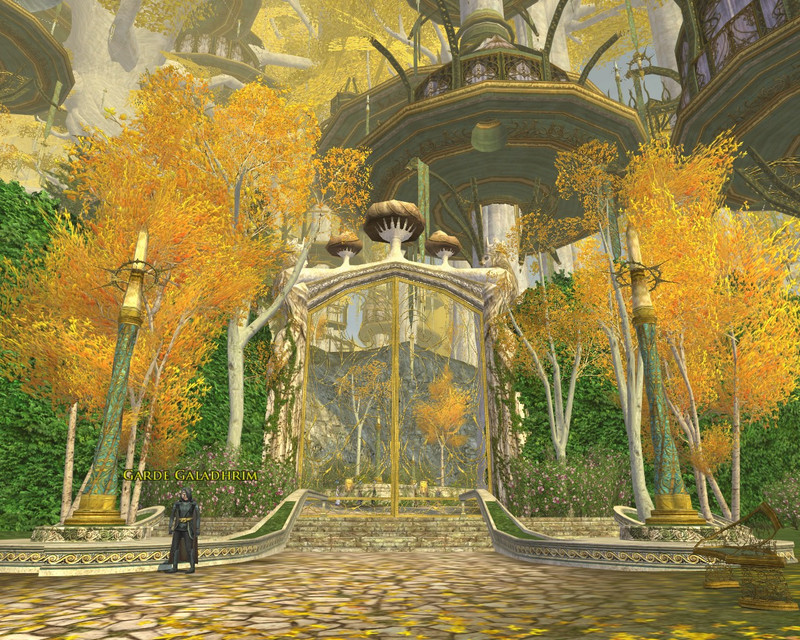 L'entr�e de Caras galadhon et sa sentinelle vigilante