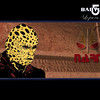 Le R�gime Narn
