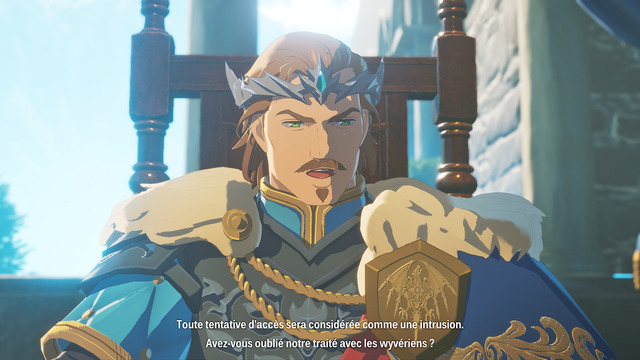 Images de Monster Hunter Stories 3: Twisted Reflection