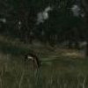 Capture de Mortal Online