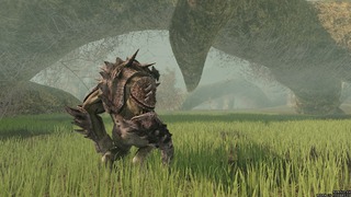 Image de Mortal Online #107835 Image de Mortal Online #107835