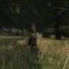 Capture de Mortal Online