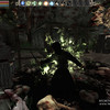 Capture de Mortal Online