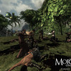 Capture de Mortal Online