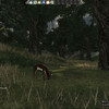 Capture de Mortal Online