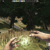 Capture de Mortal Online