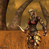 Capture de Darkfall Online
