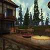 Capture de Darkfall Online