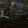 Capture de Darkfall Online
