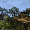 Capture de Darkfall Online